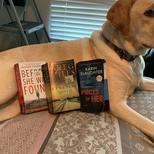 Hazel’s Top Pics!!  Summer reads:mysteries! All 3